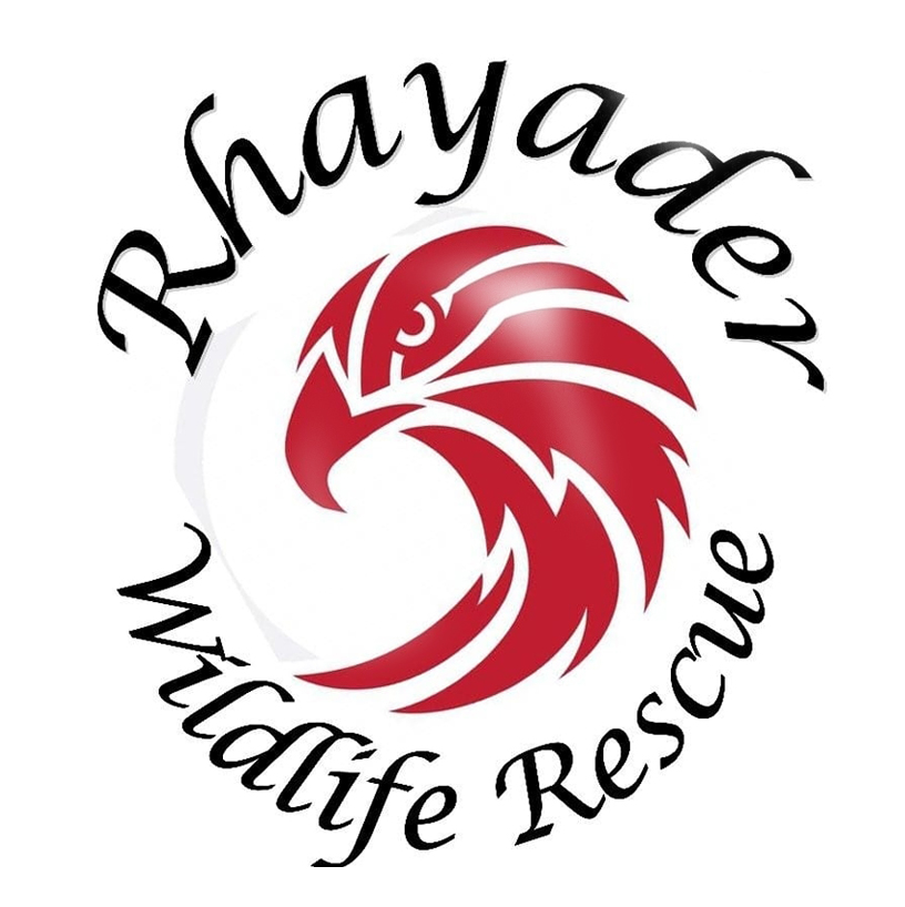 Rhayader Wildlife Rescue
