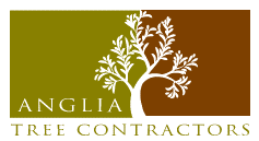 anglia_contractors_logo.png