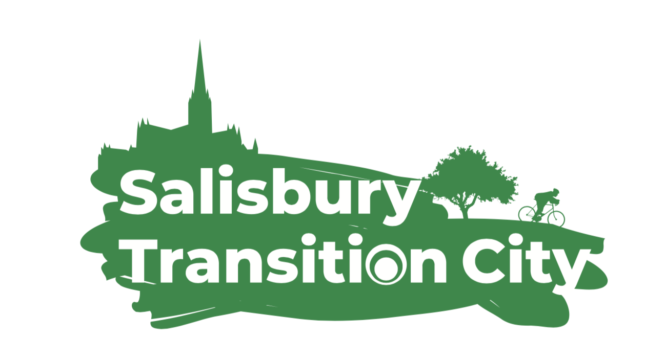 Salisbury Transition City