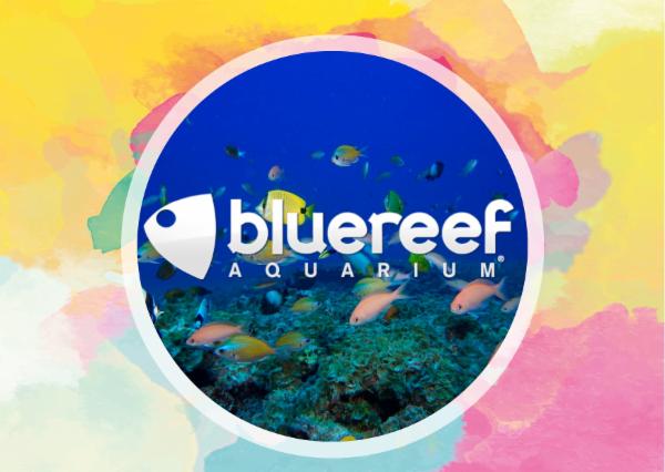 Blue Reef Aquarium.jpg