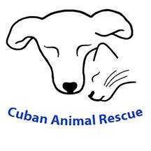 Cuban Animal Rescue