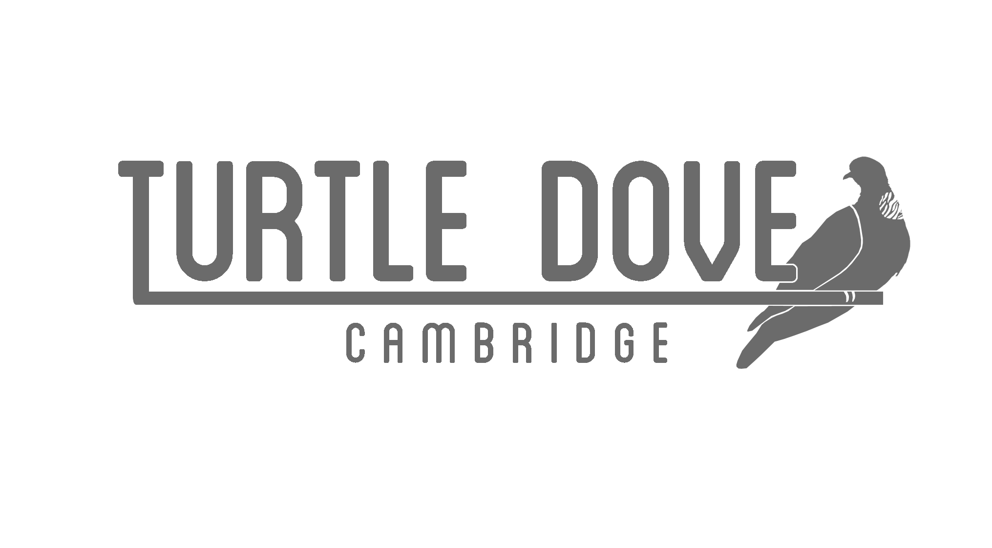 Turtle Dove Cambridge Community Interest Company