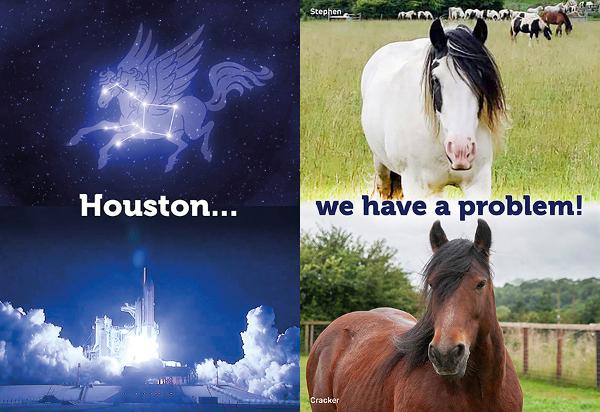 Houston_PF.jpg
