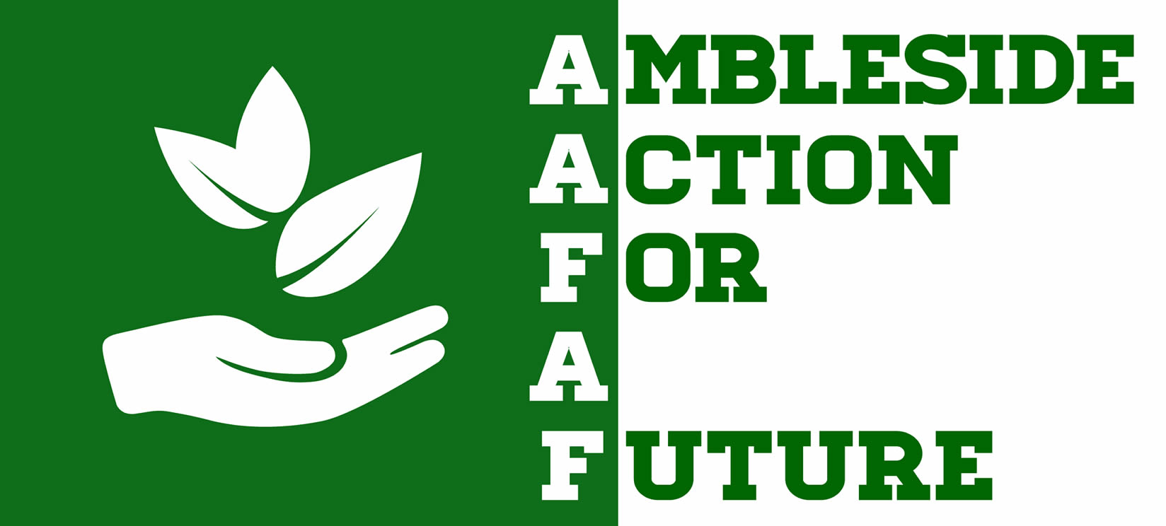 AAFAF Logo large 134kb.jpg