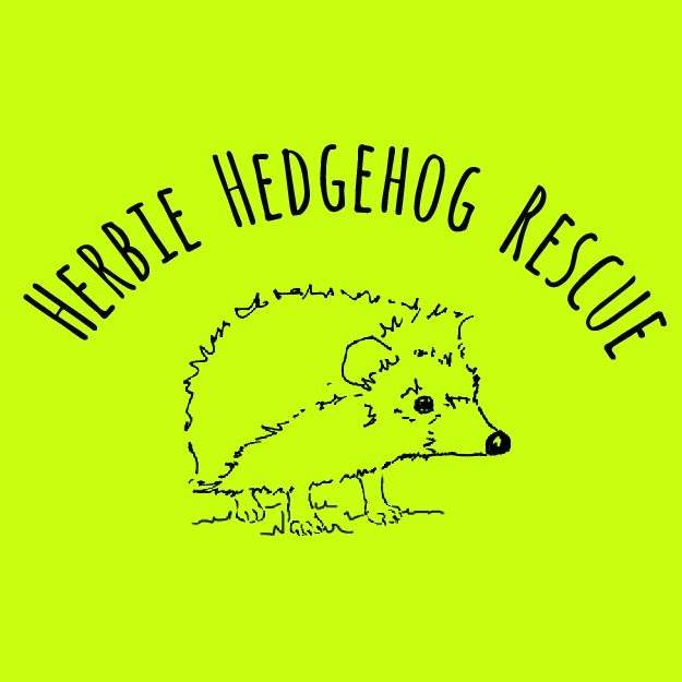 Herbie Hedgehog Rescue